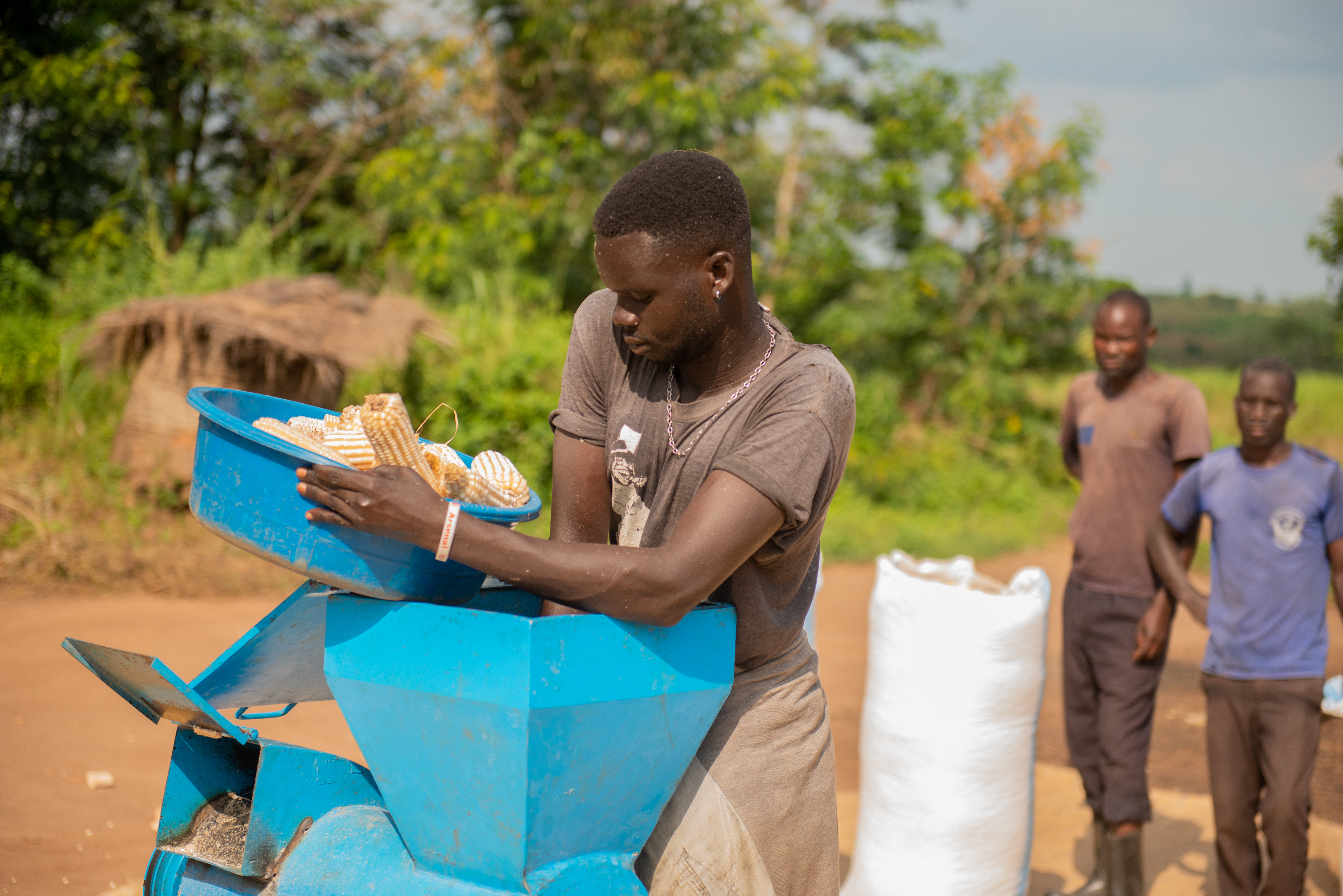 Denisco operating his maize thresher